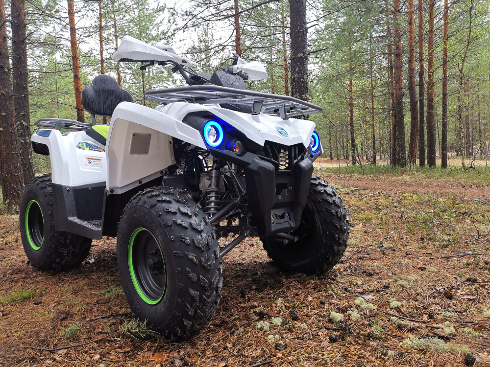 Квадроцикл PROMAX RENEGADE 280 (2025) в Ульяновске