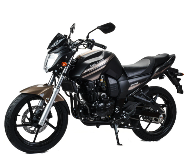 Мотоцикл MOTOLAND (МОТОЛЕНД) 300 BANDIT в Ульяновске