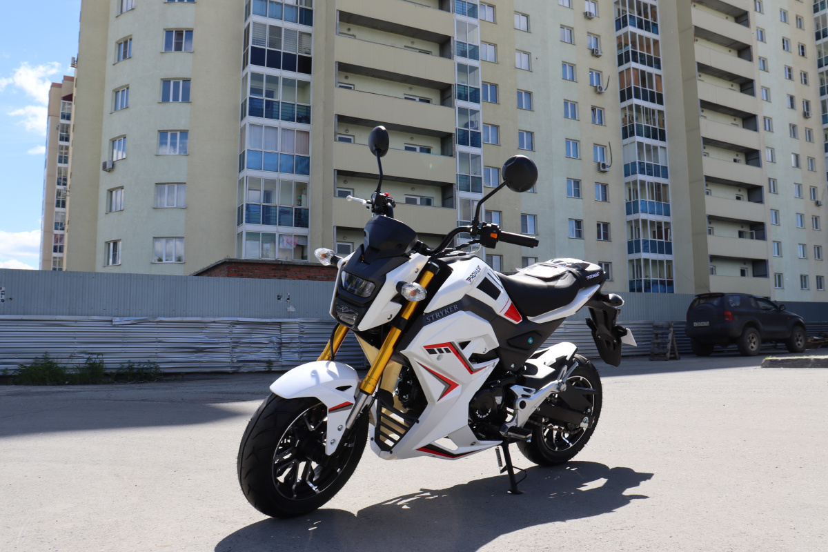 Мотоцикл PROMAX STRYKER 200(49) 2.0 в Ульяновске