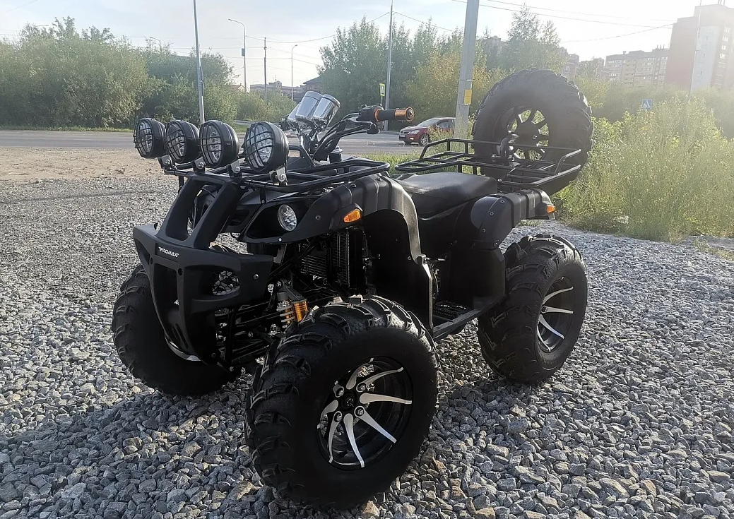 Квадроцикл PROMAX LEO 300 Max (кардан) в Ульяновске