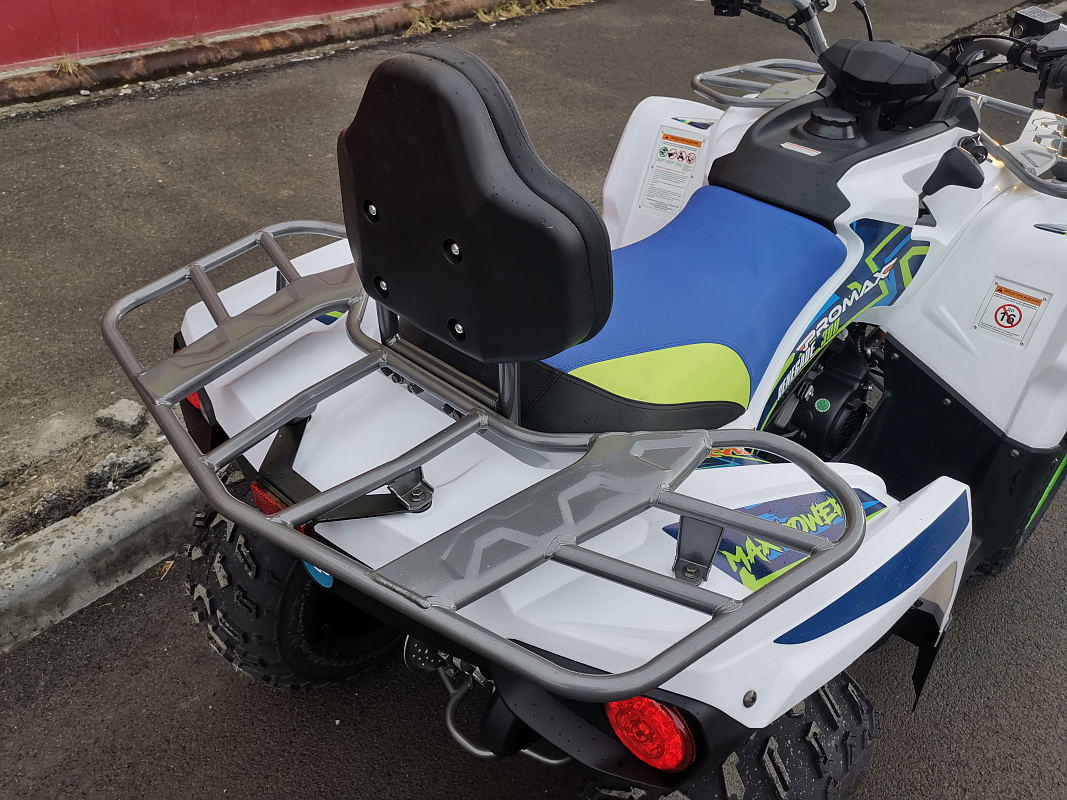Квадроцикл PROMAX RENEGADE 280 LUX (2025) в Ульяновске