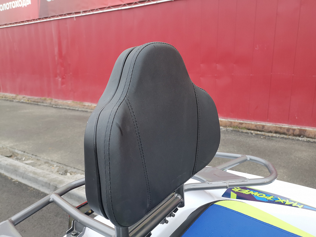 Квадроцикл PROMAX RENEGADE 280 LUX (2025) в Ульяновске