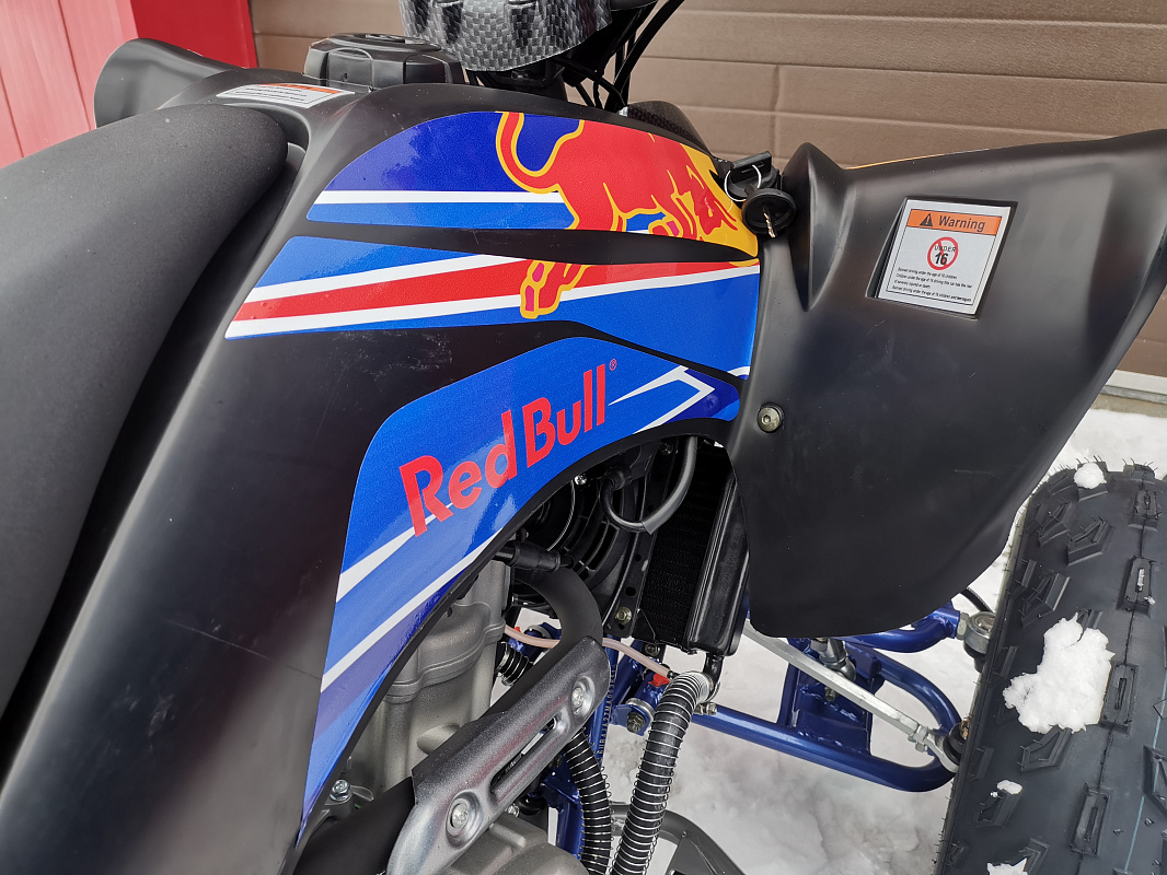 Квадроцикл PROMAX RAPTOR 300 NEW RedBull в Ульяновске