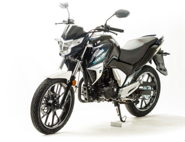 Мотоцикл MOTOLAND (МОТОЛЕНД) FIGHTER 250 в Ульяновске