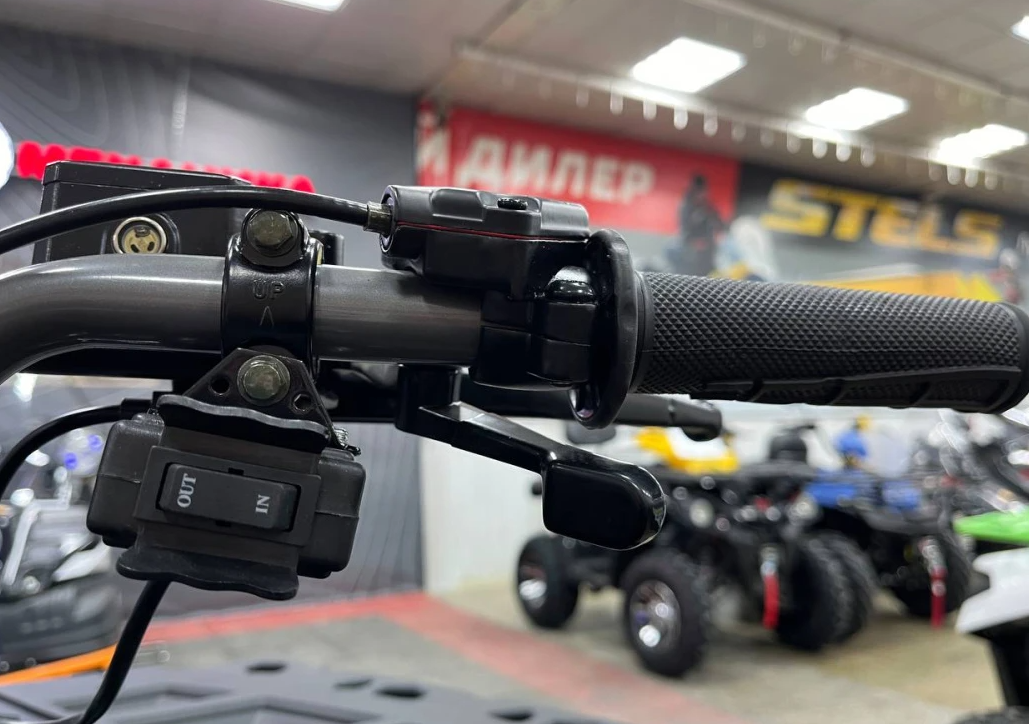 Квадроцикл PROMAX RENEGADE 300 LONG WINCH PRO (2025) в Ульяновске