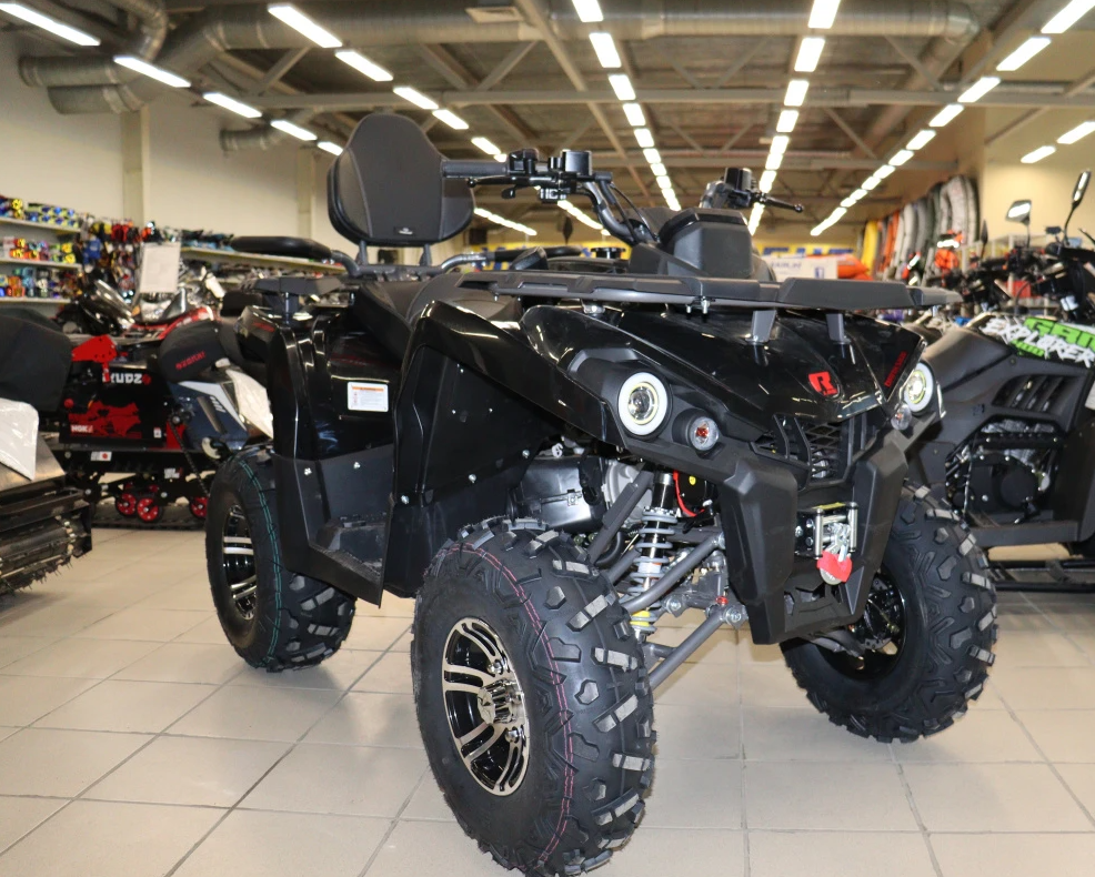 Квадроцикл PROMAX RENEGADE 300 LONG WINCH PRO (2025) в Ульяновске