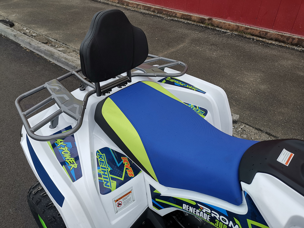 Квадроцикл PROMAX RENEGADE 280 LUX (2025) в Ульяновске