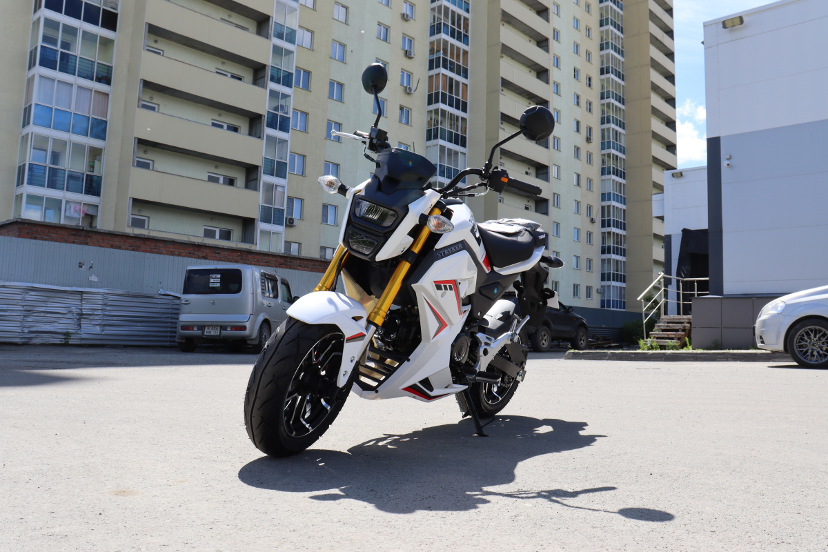 Мотоцикл PROMAX STRYKER 200(49) 2.0 в Ульяновске