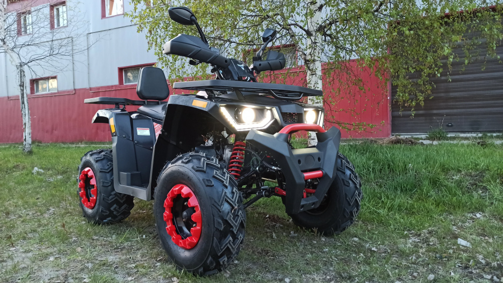 Квадроцикл PROMAX WILD 300 LUX (2024) в Ульяновске