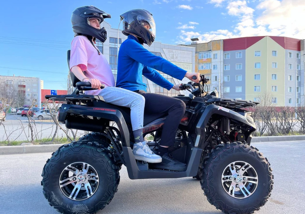 Квадроцикл PROMAX RENEGADE 300 LONG WINCH PRO (2025) в Ульяновске