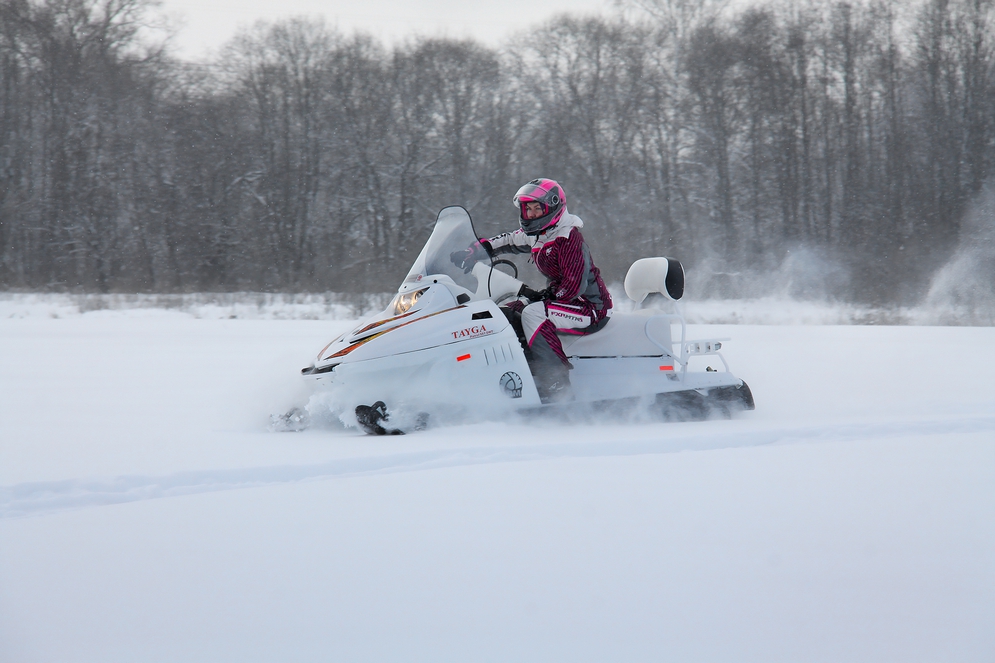 СНЕГОХОД РМ ТАЙГА ПАТРУЛЬ 551 SWT в Ульяновске