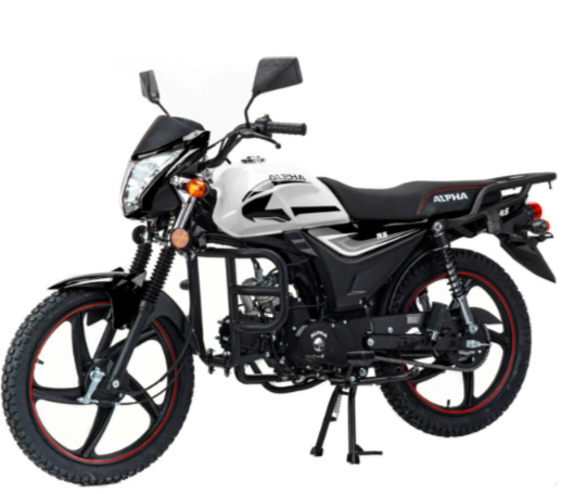 Мопед MOTOLAND (МОТОЛЕНД) Альфа RS 11 (LM48-B) в Ульяновске