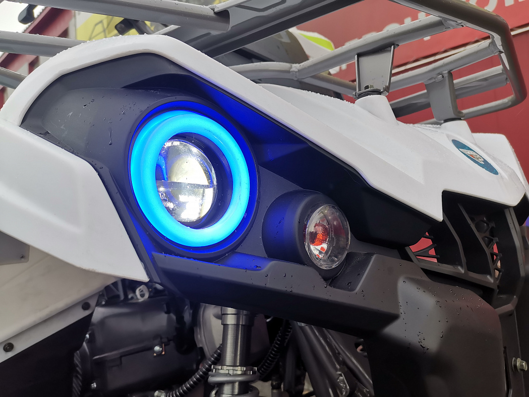 Квадроцикл PROMAX RENEGADE 280 LUX (2025) в Ульяновске