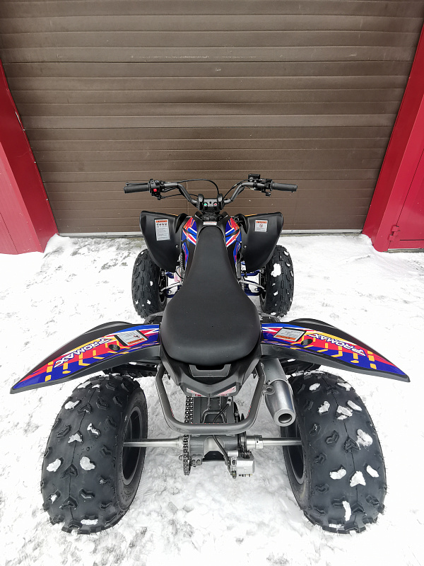 Квадроцикл PROMAX RAPTOR 300 NEW RedBull в Ульяновске