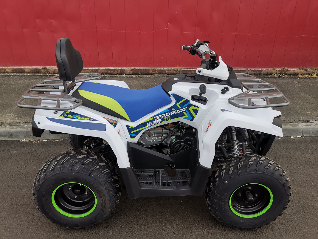 Квадроцикл PROMAX RENEGADE 280 LUX (2025) в Ульяновске