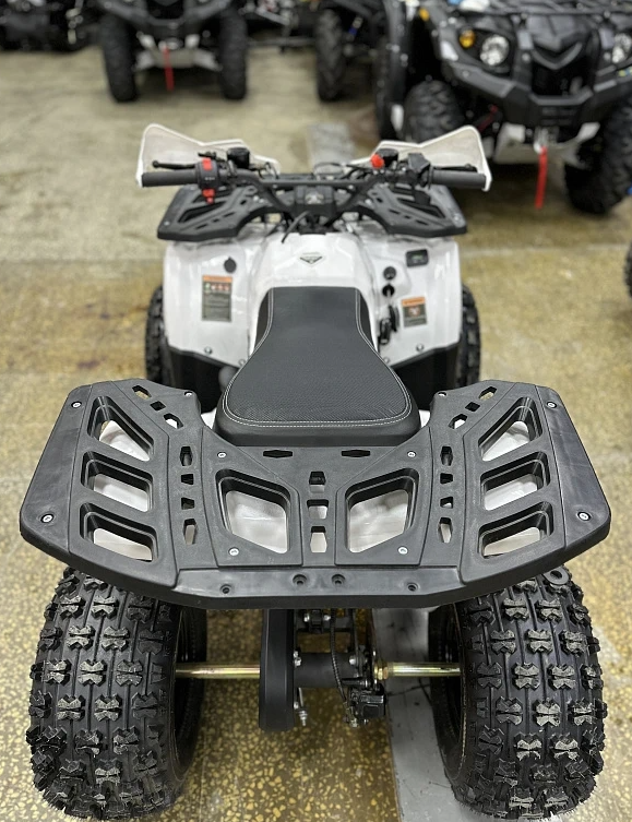 Квадроцикл PROMAX WILD 2.0 190 в Ульяновске