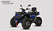 Квадроцикл PROMAX TAURUS 300 MAX-PRO LONG в Ульяновске