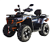 Квадроцикл MOTOLAND (МОТОЛЕНД) 300 MAX X в Ульяновске