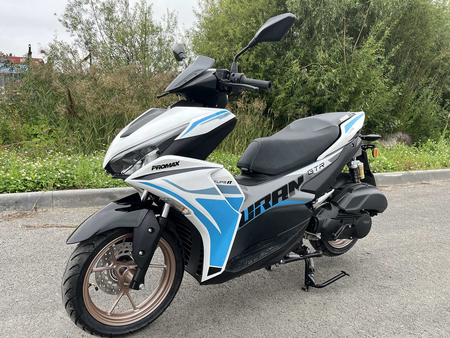 Скутер PROMAX TURAN 250 (49) в Ульяновске