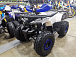 Квадроцикл PROMAX WILD 175 LUX в Ульяновске