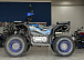 Квадроцикл PROMAX TAURUS 300 в Ульяновске