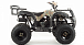 Квадроцикл MOTOLAND (МОТОЛЕНД) 200 ALL ROAD в Ульяновске