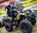 Квадроцикл PROMAX ATV 250 (2025) в Ульяновске