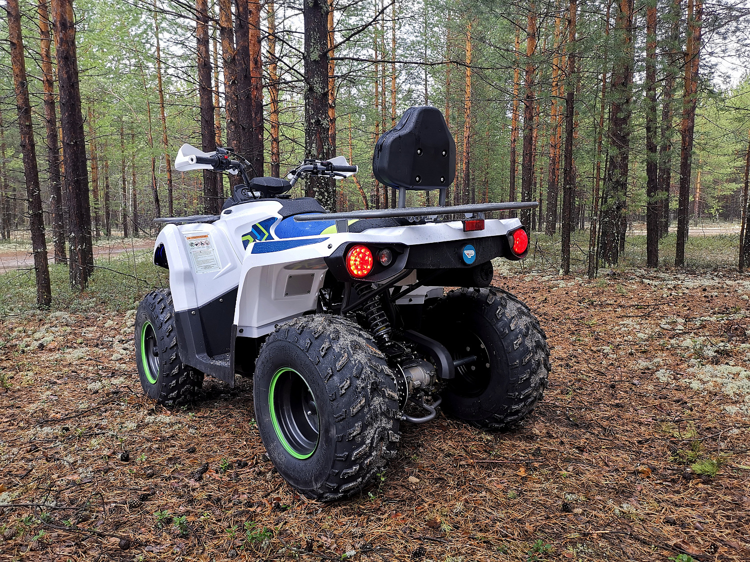 Квадроцикл PROMAX RENEGADE 280 (2025) в Ульяновске