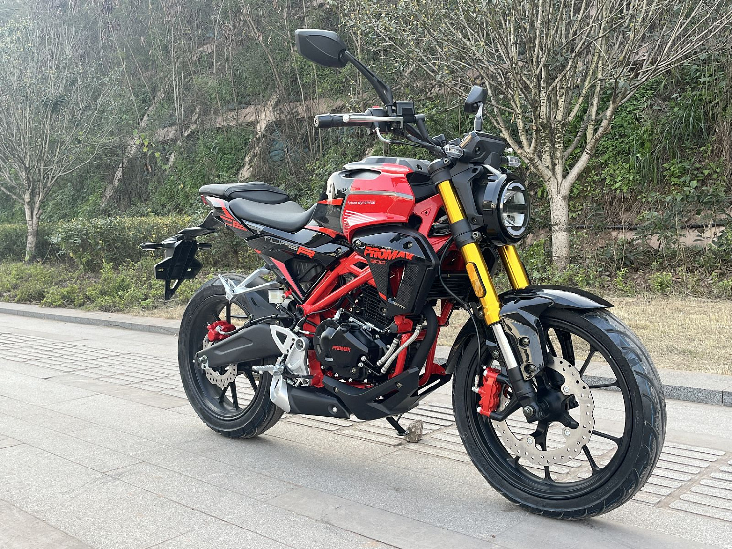 Мотоцикл PROMAX CB300RL (4V, 6G) в Ульяновске