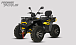 Квадроцикл PROMAX TAURUS 300 MAX-PRO LONG в Ульяновске